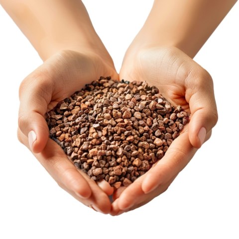 Eco Plant Natural River 1kg - żwir rzeczny 1-3mm Eco Plant Eco Plant Natural River 1kg - żwir rzeczny 1-3mm Eco Plant