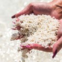 Eco Plant Pure River 1kg - żwirek jasny 1-3mm Eco Plant