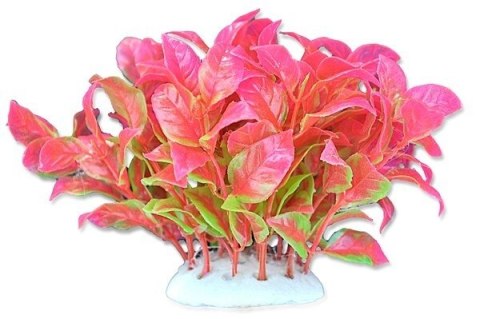 Happet Aquatic Plant - czerwona roślinka sztuczna 10cm Happet