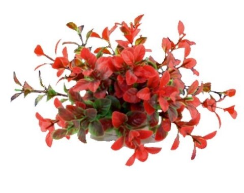 Happet Aquatic Plant - czerwono-zielona roślinka sztuczna 10cm Happet