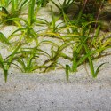 JBL Sansibar River 10kg - podłoże mieszanka JBL JBL Sansibar River 10kg - podłoże mieszanka JBL