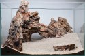 Kamienie Dragon Stone Inny Kamienie Dragon Stone Inny