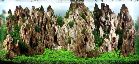 Kamienie Dragon Stone Inny Kamienie Dragon Stone Inny