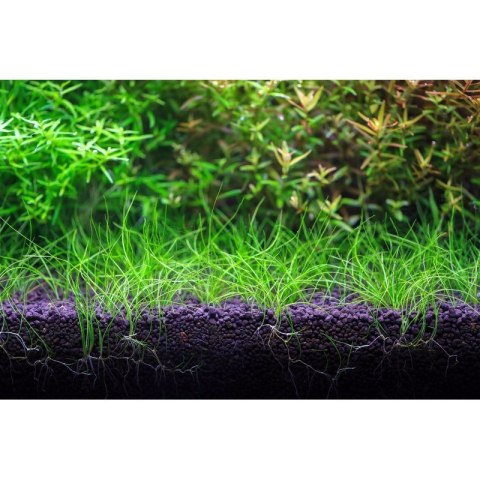 Neo Soil Plant Normal 3l - podłoże do akwarium roślinnego NEO MEDIA Neo Soil Plant Normal 3l - podłoże do akwarium roślinnego NEO MEDIA