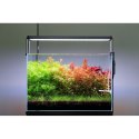 Neo Soil Plant Normal 3l - podłoże do akwarium roślinnego NEO MEDIA