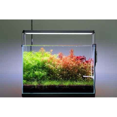 Neo Soil Plant Normal 3l - podłoże do akwarium roślinnego NEO MEDIA Neo Soil Plant Normal 3l - podłoże do akwarium roślinnego NEO MEDIA