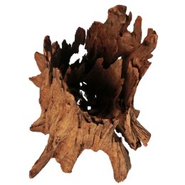 Philippines Classic Driftwood - drzewo mangrowca z wody L 30cm - 40cm Terrario