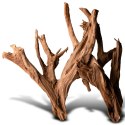 Philippines Classic Driftwood - drzewo mangrowca z wody XL 40cm - 50cm Terrario