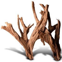 Philippines Classic Driftwood - drzewo mangrowca z wody XL 40cm - 50cm Terrario