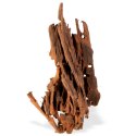 Philippines Classic Driftwood - drzewo mangrowca z wody XL 40cm - 50cm Terrario