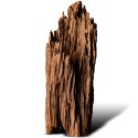 Philippines Classic Driftwood - drzewo mangrowca z wody XL 40cm - 50cm Terrario