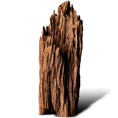 Philippines Classic Driftwood - drzewo mangrowca z wody XL 40cm - 50cm Terrario Philippines Classic Driftwood - drzewo mangrowca z wody XL 40cm - 50cm Terrario