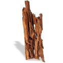 Philippines Classic Driftwood - drzewo mangrowca z wody XL 40cm - 50cm Terrario