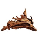 Philippines Classic Driftwood - drzewo mangrowca z wody XL 40cm - 50cm Terrario