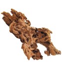 Philippines Classic Driftwood - drzewo mangrowca z wody XL 40cm - 50cm Terrario