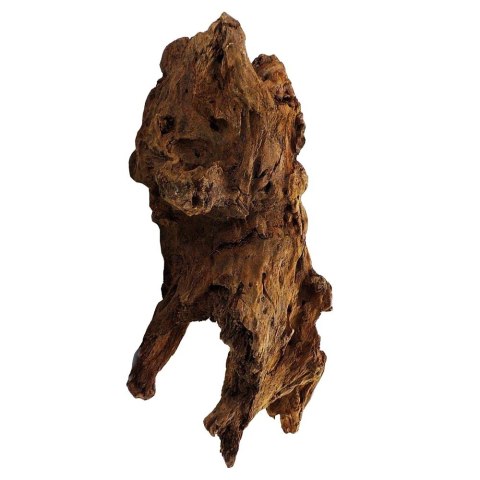 Philippines Classic Driftwood - drzewo mangrowca z wody XL 40cm - 50cm Terrario Philippines Classic Driftwood - drzewo mangrowca z wody XL 40cm - 50cm Terrario