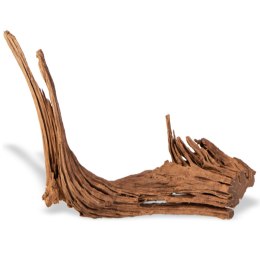 Philippines Classic Driftwood - drzewo mangrowca z wody M 25cm - 30cm Terrario