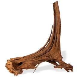 Philippines Classic Driftwood - drzewo mangrowca z wody M 25cm - 30cm Terrario