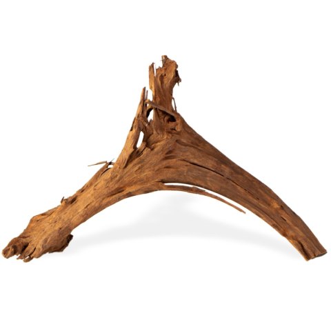 Philippines Classic Driftwood - drzewo mangrowca z wody M 25cm - 30cm Terrario Philippines Classic Driftwood - drzewo mangrowca z wody M 25cm - 30cm Terrario