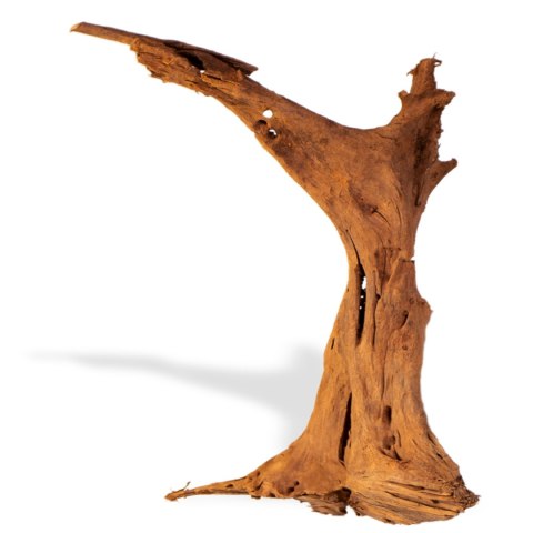 Philippines Classic Driftwood - drzewo mangrowca z wody M 25cm - 30cm Terrario Philippines Classic Driftwood - drzewo mangrowca z wody M 25cm - 30cm Terrario