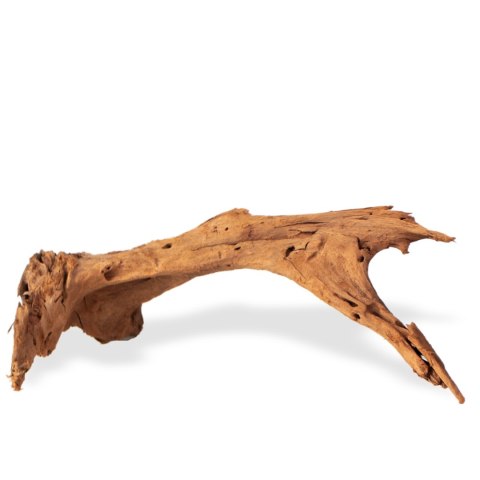 Philippines Classic Driftwood - drzewo mangrowca z wody M 25cm - 30cm Terrario Philippines Classic Driftwood - drzewo mangrowca z wody M 25cm - 30cm Terrario