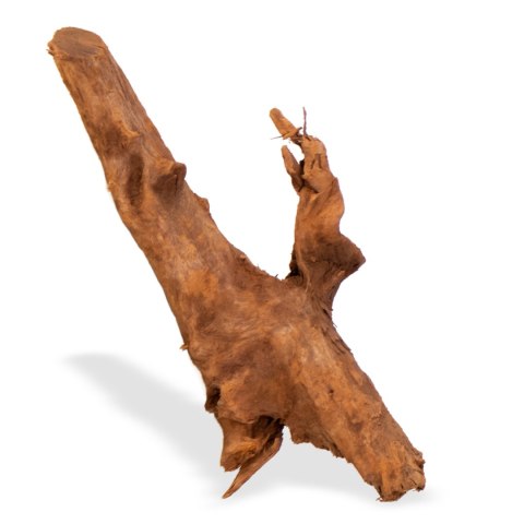 Philippines Classic Driftwood - drzewo mangrowca z wody M 25cm - 30cm Terrario Philippines Classic Driftwood - drzewo mangrowca z wody M 25cm - 30cm Terrario