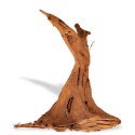 Philippines Classic Driftwood - drzewo mangrowca z wody M 25cm - 30cm Terrario