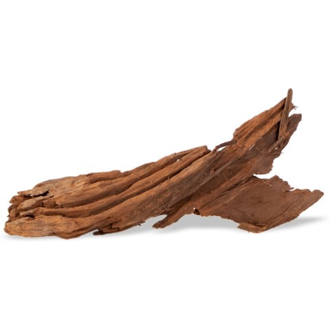 Philippines Classic Driftwood - drzewo mangrowca z wody M 25cm - 30cm Terrario Philippines Classic Driftwood - drzewo mangrowca z wody M 25cm - 30cm Terrario