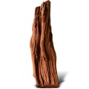 Philippines Classic Driftwood - drzewo mangrowca z wody XXS ok.10cm Philippines Classic Driftwood - drzewo mangrowca z wody XXS ok.10cm