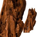 Philippines Classic Driftwood - drzewo mangrowca z wody XXS ok.10cm Philippines Classic Driftwood - drzewo mangrowca z wody XXS ok.10cm