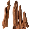 Philippines Classic Driftwood - drzewo mangrowca z wody XXS ok.10cm Philippines Classic Driftwood - drzewo mangrowca z wody XXS ok.10cm