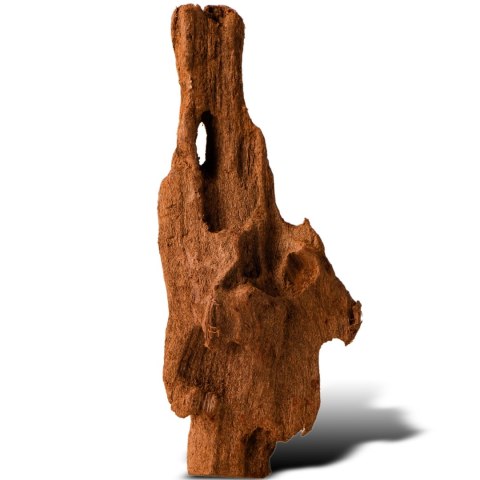 Philippines Classic Driftwood - drzewo mangrowca z wody XS ok.16cm Philippines Classic Driftwood - drzewo mangrowca z wody XS ok.16cm