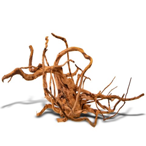 Shizen Essence J-roots L - duże korzenie japońskie Mizube i Ryuboku Shizen Essence J-roots L - duże korzenie japońskie Mizube i Ryuboku