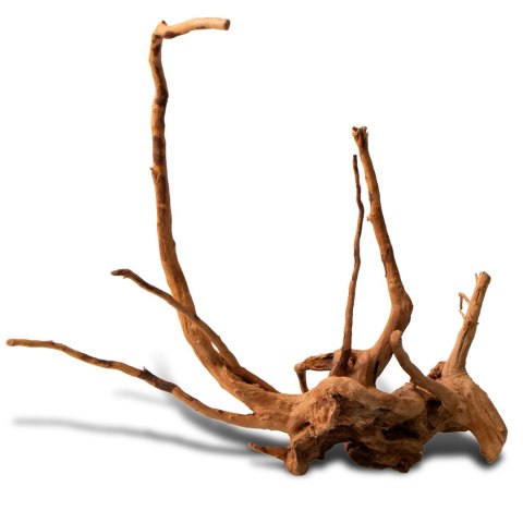 Shizen Essence J-roots XS - mini korzenie japońskie Mizube i Ryuboku Shizen Essence J-roots XS - mini korzenie japońskie Mizube i Ryuboku