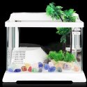 SunSun HGG-380 - Akwa-Terrarium dla żółwia 27l SunSun