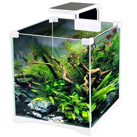 SunSun O!-LED Aqua - zestaw akwarium 10l SunSun