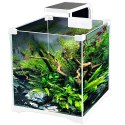 SunSun O!-LED Aqua - zestaw akwarium 15l SunSun