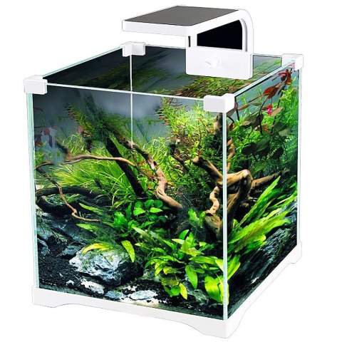 SunSun O!-LED Aqua - zestaw akwarium 15l SunSun SunSun O!-LED Aqua - zestaw akwarium 15l SunSun