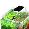 SunSun O!-LED Aqua - zestaw akwarium 15l SunSun