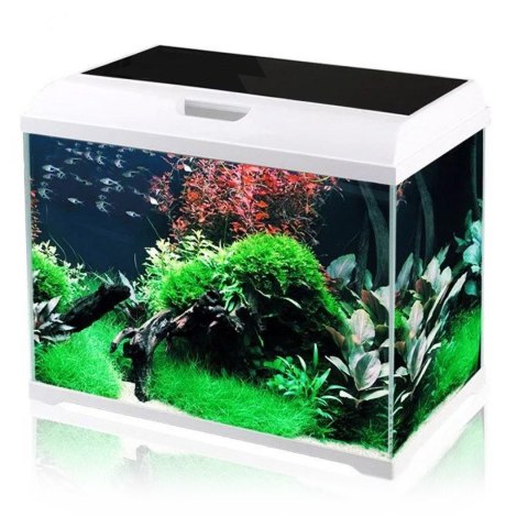 SunSun Supreme AquaPlant 19l - zestaw akwarium SunSun SunSun Supreme AquaPlant 19l - zestaw akwarium SunSun