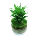YOKUCHI HAISUI BASE 2L - podłoże drenażowe do terrarium YOKUCHI YOKUCHI HAISUI BASE 2L - podłoże drenażowe do terrarium YOKUCHI