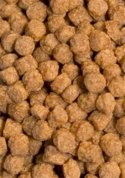 Ocean Nutrition Atison,s Betta Food 15g (pokarm dla bojowników) Ocean Nutrition