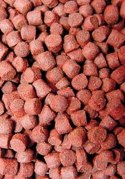 Ocean Nutrition Formula One Pellets M 100g (pokarm granulowany) Ocean Nutrition Ocean Nutrition Formula One Pellets M 100g (pokarm granulowany) Ocean Nutrition