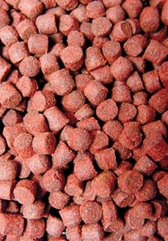 Ocean Nutrition Formula One Pellets M 100g (pokarm granulowany) Ocean Nutrition Ocean Nutrition Formula One Pellets M 100g (pokarm granulowany) Ocean Nutrition