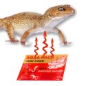 Aqua Heat Pack 40H 'Gold' x10 - zestaw 10 ogrzewaczy Aquario