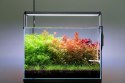 NEO Soil Shrimp 3l - podłoże do krewetkariów NEO MEDIA