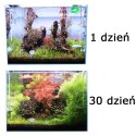 NEO Soil Shrimp 3l - podłoże do krewetkariów NEO MEDIA