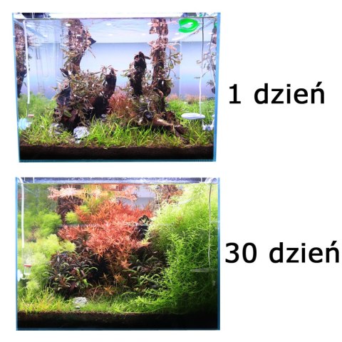 NEO Soil Shrimp 3l - podłoże do krewetkariów NEO MEDIA NEO Soil Shrimp 3l - podłoże do krewetkariów NEO MEDIA