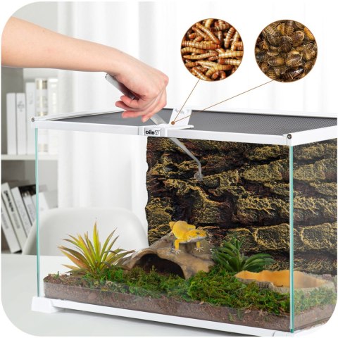 OiiBO Terrarium RAK05W - terrarium 50x30x35cm OiiBO OiiBO Terrarium RAK05W - terrarium 50x30x35cm OiiBO