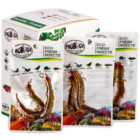 ProBugs Eco-Fresh Scolopendra Centipede 2pcs - świeże skolopendry ProBugs ProBugs Eco-Fresh Scolopendra Centipede 2pcs - świeże skolopendry ProBugs
